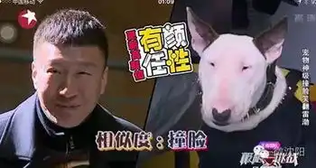 被师傅坑黄磊神模仿张艺兴小绵羊在一旁一脸懵逼