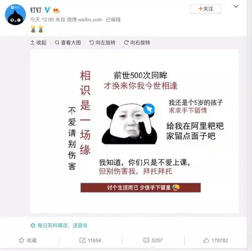阿里巴巴大家庭也太好笑了钉钉被打一星后续