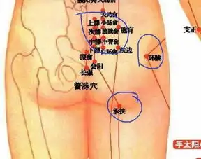 老倪膏药各部位症状及的贴敷方法