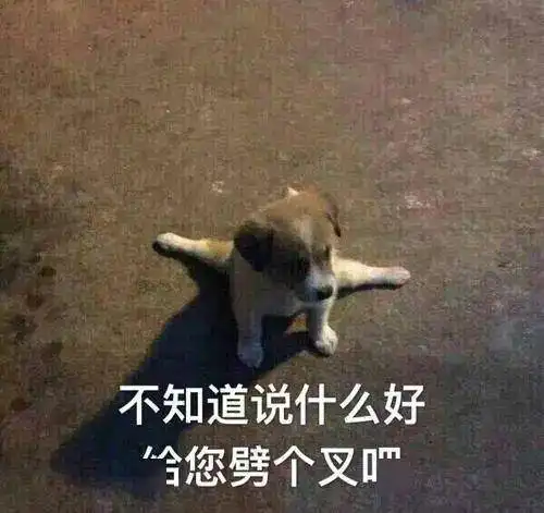 测试一个超长简介的文章