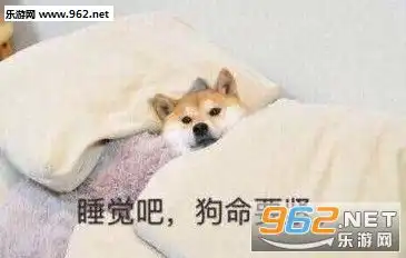 表情睡觉吧狗命要紧表情包图片做不做大哥的狗子表情包图片下载乐游...表情