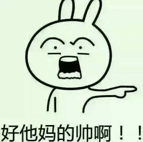 要兔子表情,我要嫁给他那种