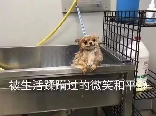 测试一个超长简介的文章