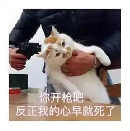 为啥开学第一个月,我总是这样贫穷