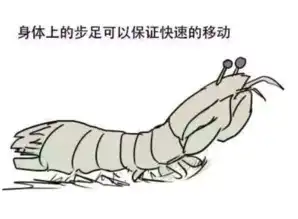 滑稽大战皮皮虾表情图片