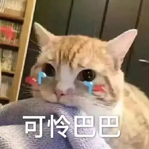 看了让人心软的认错表情包你再不理我,你将失去我这个小可爱