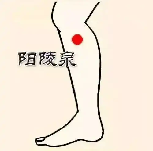 头痛欲裂缓解头痛的方法送给您