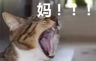 您儿女小时候的表情包,请您务必发给他她