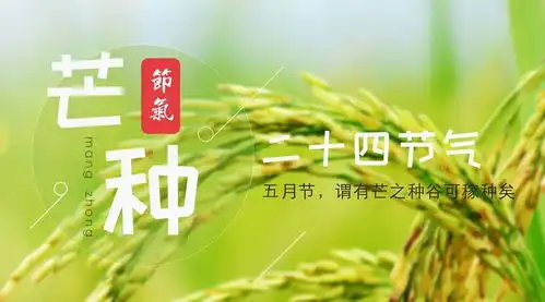 二十四节气芒种日,高考始
