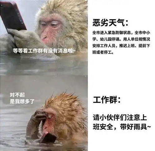 每日一笑入职第一天的我vs工作一年后的我