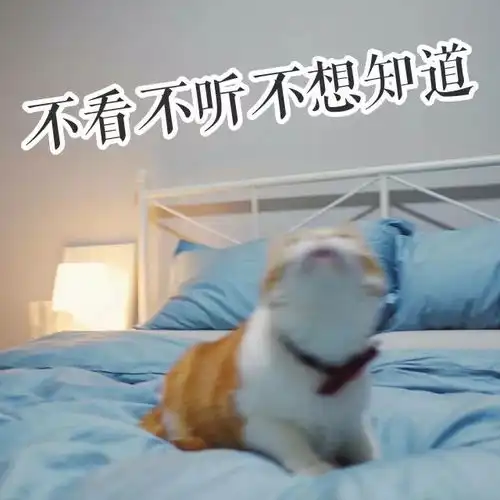 你什么时候最想时光倒流好好学英语