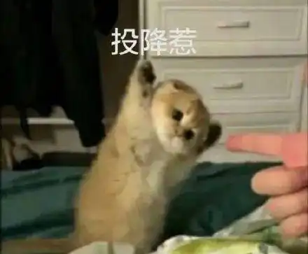 托福各阶段备考策略,且看萌新如何变身大佬