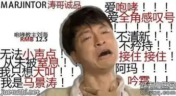 史上最搞笑最全的凡客体65p珍藏版