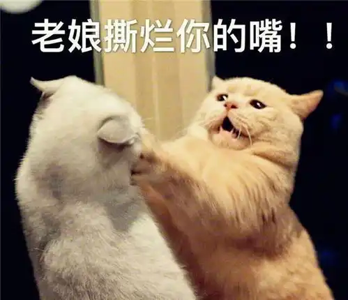 搞怪又沙雕的朋友圈文案