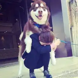 测试一个超长简介的文章