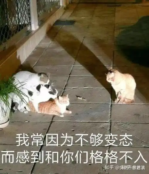 太吾绘卷有哪些比较骚的玩法