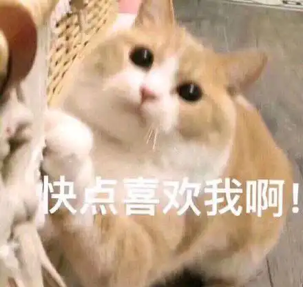 追小哥哥的表情包24张