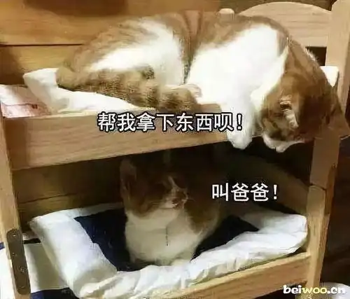 听说你减肥成功,成功地拖到2019年