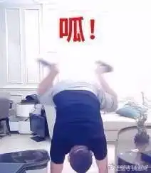 小狗职业生涯是不是没有可以站出来的队友