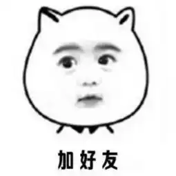各路大神,请问廊曼机场有直达大城的火车或者巴士吗