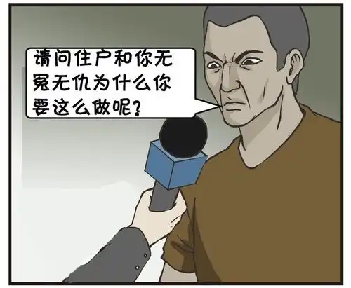 恶搞漫画砸邻居家玻璃的坏人