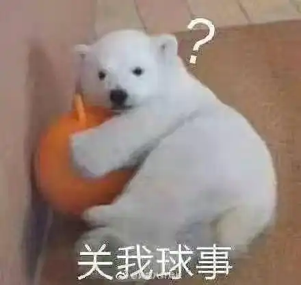 我是嘉羿的popi提问箱