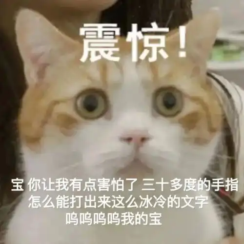 微信可爱聊天表情包三十多度的手指怎么能打出这么冰冷的文字