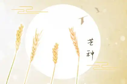 芒种是什么季节的节气要注意什么