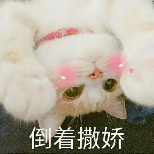 想知道哪些身体乳好用