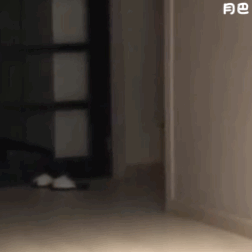 黄夏温表情包你不用上班的吗