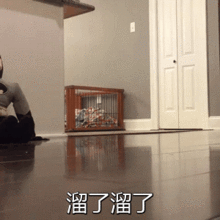 回忆杀对号入座,你是哪一届沙雕网民