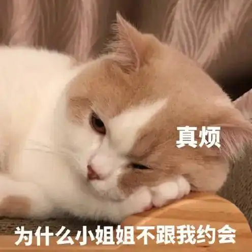 搞笑表情包为我的莽撞自罚一杯
