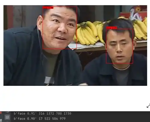 yolox目标检测实现人脸识别换搞笑图