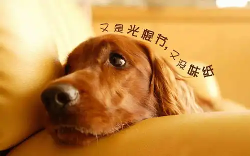 盘点历史中那些不过情人节的单身名人
