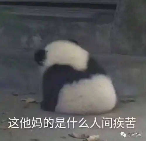 半生坎坷半生甜腻,她拿的还真是编剧写不出的剧本