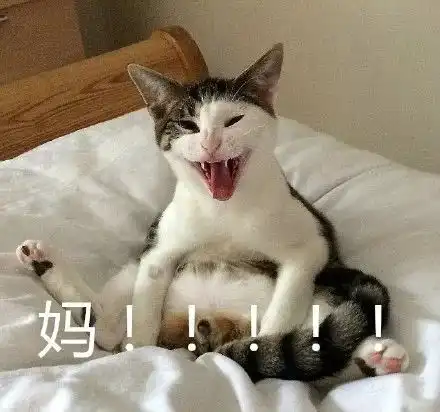 当你妈明明在线却不回你,试试这组表情包