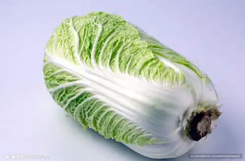 白菜大白菜小白菜图片摄影图蔬菜