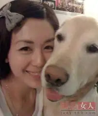 李念王菲赵薇小s李小璐孙俪辣妈女星谁最清新动人