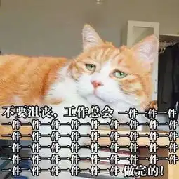 求问这只一脸悲伤的表情包的猫的名字