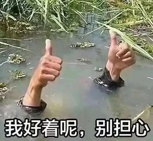 搞笑表情包图片你好好笑哦,我好着呢,别担心