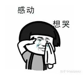 猫亲主人的嘴是啥意思啊
