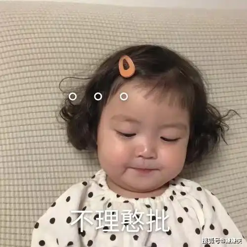 热门表情包图片我现在道歉,还来得及吗