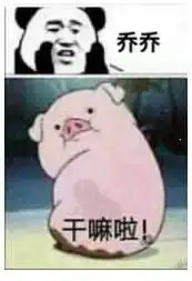 有哪些猪的搞笑图片或者表情包