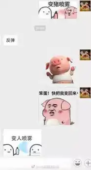 和好友表情包互怼是一种怎样的体验