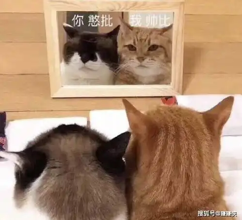 爱爱表情包图片你和我,爱和情