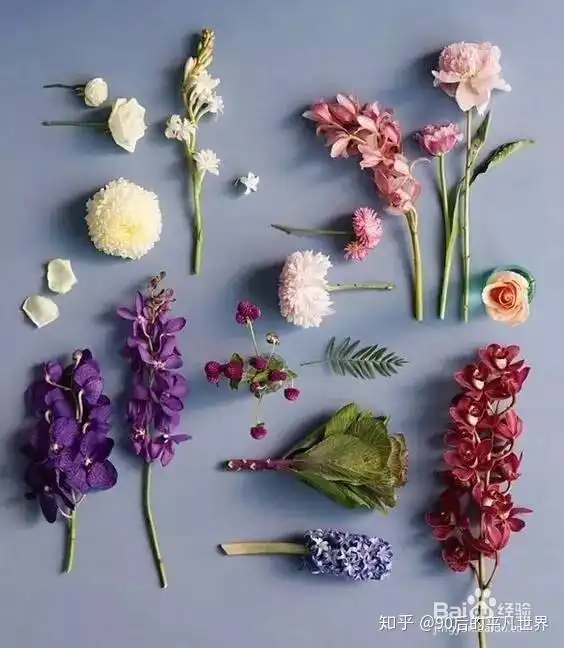 干花的各种制作方法