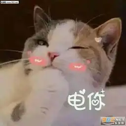 有吃的吗请问可爱表情包电死你个小可爱喵咪表情包下载乐游网游戏下载