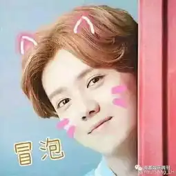 鹿晗找美图公司定制了一款美拍ar特效给粉丝最in的互动体验