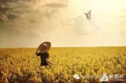 读懂这十条心理定律,你能走得更远