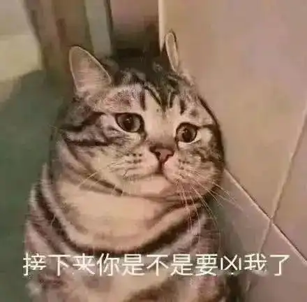 哄女朋友开心的表情包,低头认错